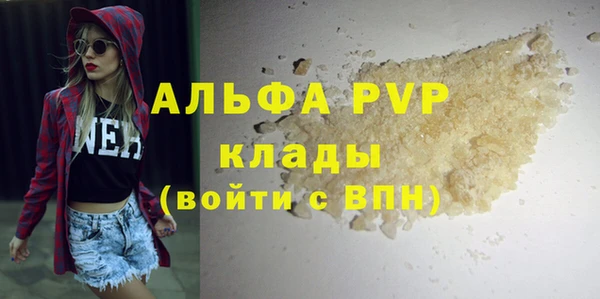 прущие грибы Абаза