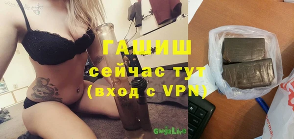 прущие грибы Абаза