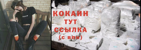 прущие грибы Абаза