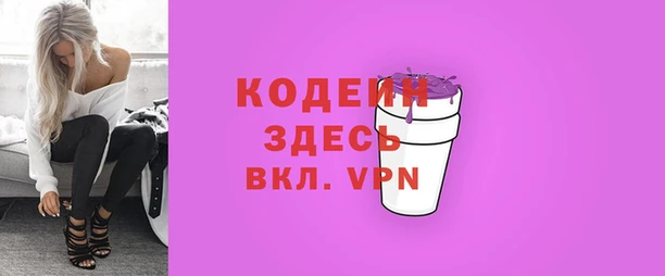 прущие грибы Абаза