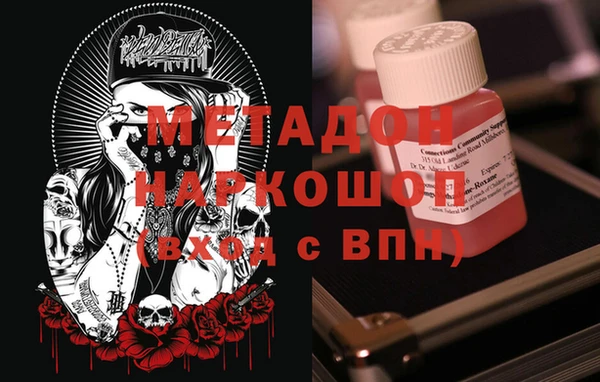 прущие грибы Абаза