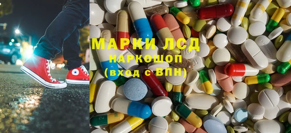 прущие грибы Абаза