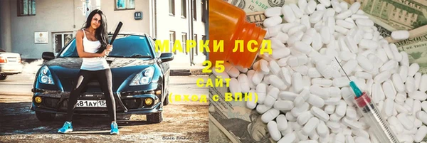 прущие грибы Абаза