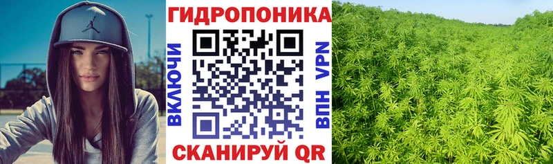 Бошки Шишки план Алагир