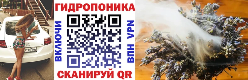 Бошки марихуана ГИДРОПОН  где найти наркотики  Алагир 